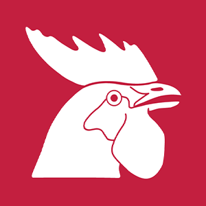 Horoz Lojistik Kargo Hizmetleri ve Ticaret A.Ş. logo